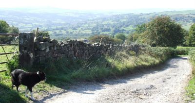 View up the Nidd valley from the top of the lane at Brimham Rocks